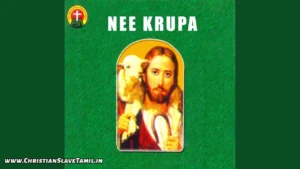 Chalunayya Chalunayya Ni Krupa, Chalunayya Chalunayya Nee Song,