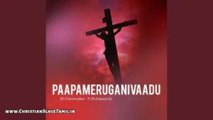 Nee Neethi Kiranaalu, Nee Neethi Kiranalu Song,