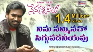 Ninu Namminacho Siggupadaniyavu, Ninu Namminacho Siggupadaniyavu Song,