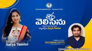 Thaaraa Velisenu Ee Vela, Thaaraa Velisenu Ee Vela Song,