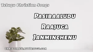 Pasibaaludu Raajuga Janminchenu, Pasibaaludu Raajuga Janminchenu Song,