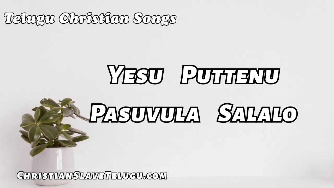 Yesu Puttenu Pasuvula Salalo, Yesu Puttenu Pasuvula Salalo Song,
