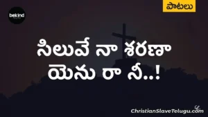 Siluve Naa Sharanayenu Ra, Siluve Naa Sharanayenu Ra Song,