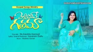 Vellipove Gathama Chellubatu, Vellipove Gathama Chellubatu Song,